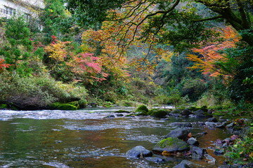 鶴仙渓の紅葉