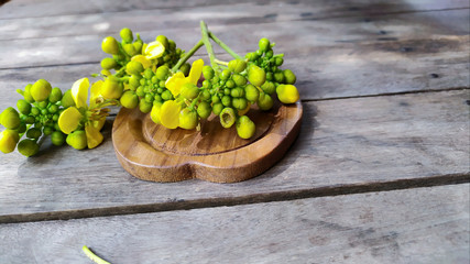 senna siamea of flower on wood background