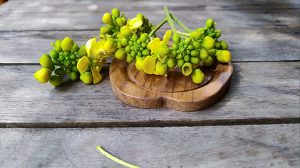 senna siamea of flower on wood background