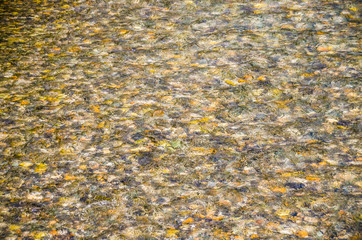 abstract stone textue