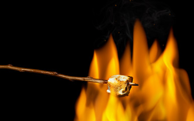 toasted marshmallow on wooden stick