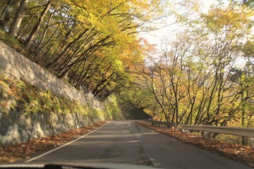 日光いろは坂の紅葉