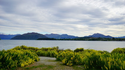 Beautiful view in a spring time in Wanaka Lake, New Zealand