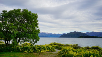 Beautiful view in a spring time in Wanaka Lake, New Zealand