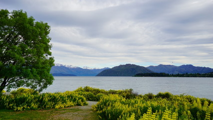 Fototapeta na wymiar Beautiful view in a spring time in Wanaka Lake, New Zealand