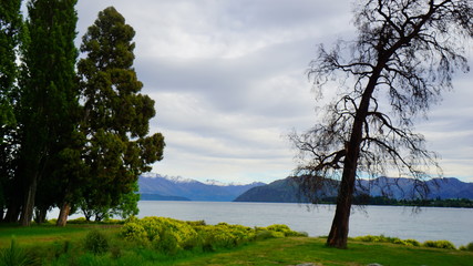 Beautiful view in a spring time in Wanaka Lake, New Zealand