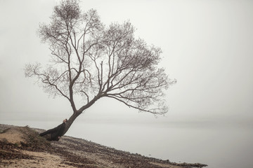 fashion male model in coat lies on a tree, fog, tree near the sea