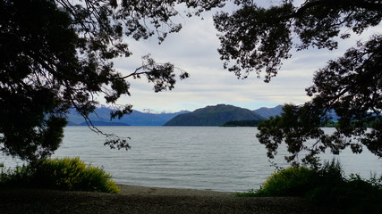 Beautiful view in a spring time in Wanaka Lake, New Zealand