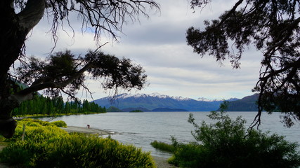 Beautiful view in a spring time in Wanaka Lake, New Zealand