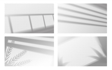 Realistic window shadow. Window frame and louvers with with tropical leaves, window light effect. Vector transparent shadows image set, reflected on wall or floor of room, on transparent background