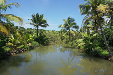 Obraz premium Kerala Backwaters