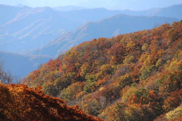 日塩モミジラインの紅葉