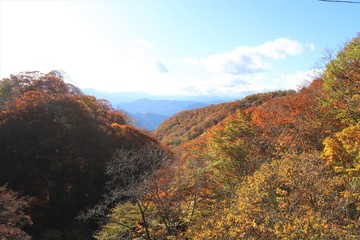 日塩モミジラインの紅葉