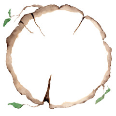 Wood slice. Tree rings. Watercolor illustration.  