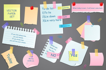 Paper notes on stickers, notepads and memo messages torn paper sheets. Sticky notepaper posts of meeting reminder, to do list and office notice or information board. Vector illustration
