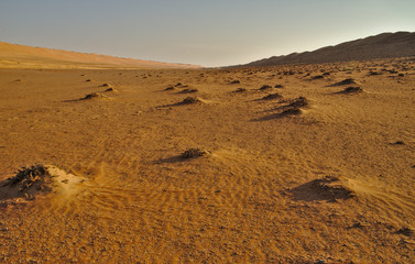 Scenic landscape of Wahiba Sands desert in Oman