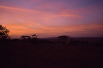 Fototapeta na wymiar African Sunrise