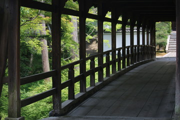 木の橋