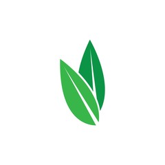green leaft ecology nature element