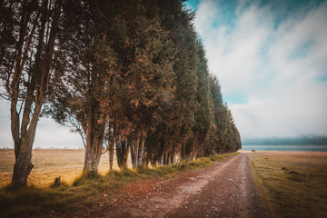 road in the countryside