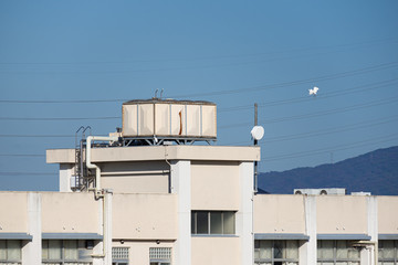 屋上給水タンクと白鷺