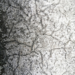texture of old cement wall