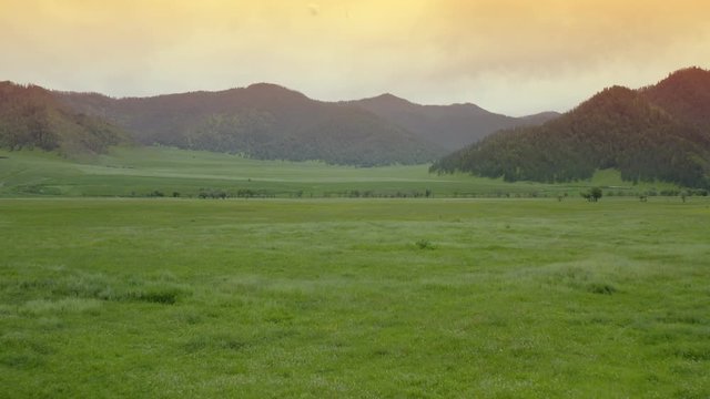 Forest Landscape Sunrise Over Water Cinematic Drone Footage Aerial Shot of a Pine Forest and River during Sunset in Europe Portugal Peneda Geres National Park in 4K
