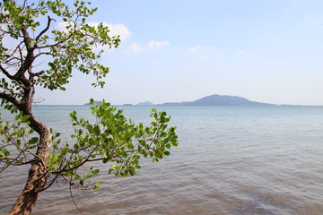 Scenic view of Rabbit Island or Koh Tonsay in Kep Cambodia