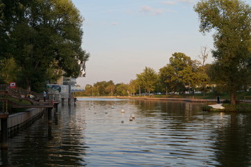 lake near the park