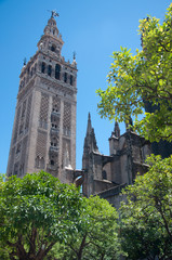 Giralda Tower and Seville Cathedral, Spain. 
