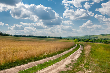 Fototapeta na wymiar The road goes through a wheat field