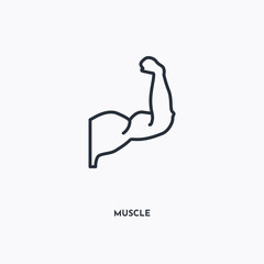 muscle outline icon. Simple linear element illustration. Isolated line muscle icon on white background. Thin stroke sign can be used for web, mobile and UI.