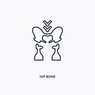 hip bone outline icon. Simple linear element illustration. Isolated line hip bone icon on white background. Thin stroke sign can be used for web, mobile and UI.