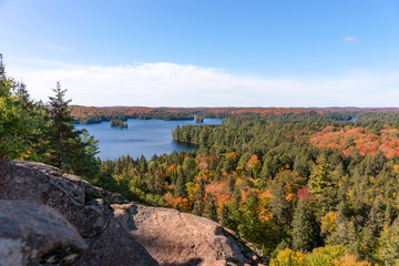 Obraz premium View of the Cache Lake in autumn. Algonquin National Park. Ontario. Canada
