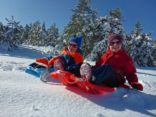 Enfants en luge