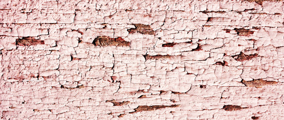 Close-up wood grunge board with pattern of peeling light pink paint. Old cracked timber. Background of painted wooden wall.