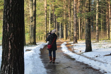 girl photographing the Park in late autumn 