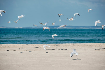 Vrouwenpolder_2019
