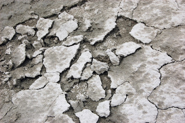 Ukrainian soil.Grungy arid land texture. Grey cracked floor surface. Ecological problem. Near Kiev,Ukraine