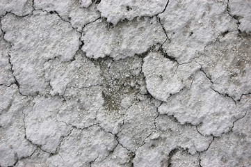 Ukrainian soil.Grungy arid land texture. Grey cracked floor surface. Ecological problem. Near Kiev,Ukraine