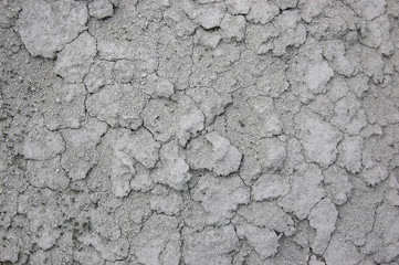 Ukrainian soil.Grungy arid land texture. Grey cracked floor surface. Ecological problem. Near Kiev,Ukraine