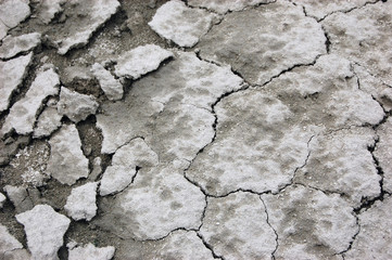 Ukrainian soil.Grungy arid land texture. Grey cracked floor surface. Ecological problem. Near Kiev,Ukraine