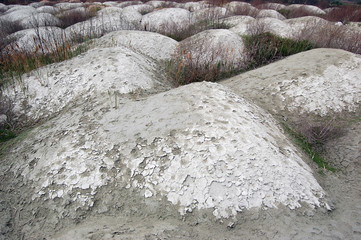 Ukrainian soil.Grungy arid land texture. Grey cracked floor surface. Ecological problem. Near...