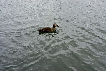 It’s chilly this morning. I feel like fall is right around the corner!