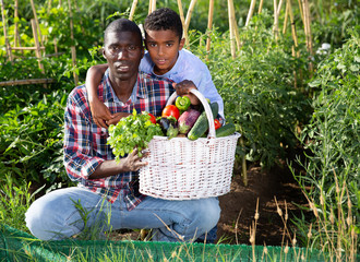 Portrait farmer and son with harvest of tomatoes, bell pepers and parsley from the garden