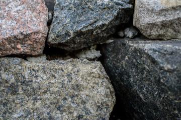 Huge stones lie in the park. Background. Texture.