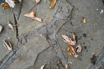 A very old road, on which lies fallen autumn foliage. Background. Texture.