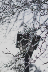 branches covered in ice with a street lamp behind