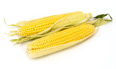 Yellow ripe corn on the cob on a white background