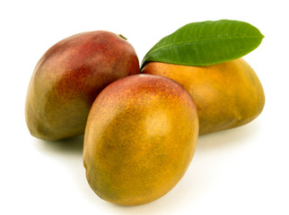 Mango fruit isolated on white background.